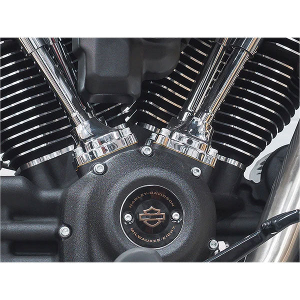 Harley-Davidson Softail Standard (2020-24)